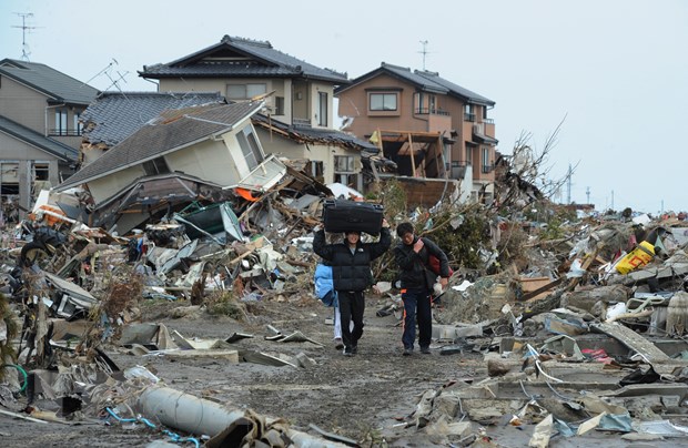 10 năm sau sự cố Fukushima: Hoa anh đào đã nở trên vùng đất hoang tàn - Ảnh 1.