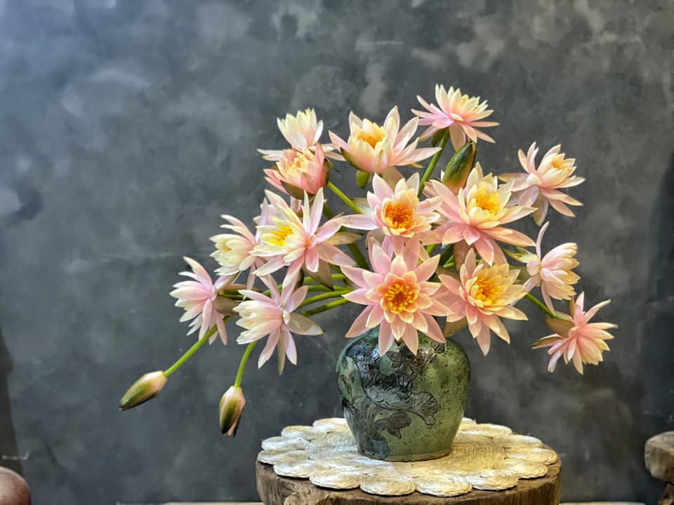 Hoa dại, hoa quê đắt hàng trên phố » Báo Phụ Nữ Việt Nam