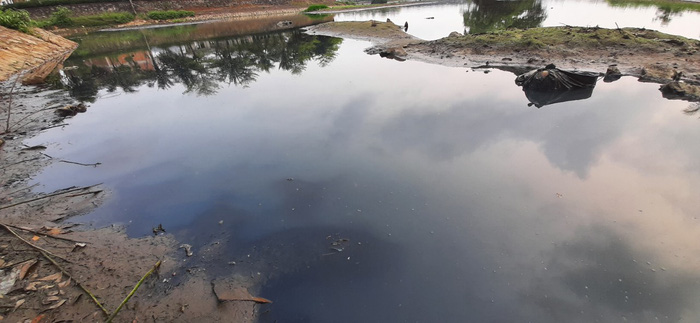 Công ty Hạ tầng đô thị Vinh nói gì về ô nhiễm tại hồ Vinh Tân - Ảnh 1.