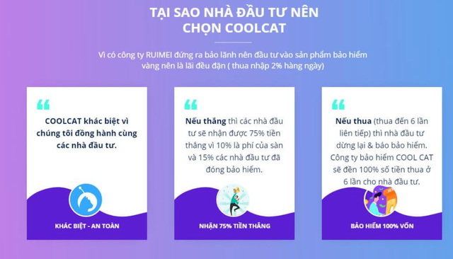 Sập sàn Coolcat: Phụ nữ cần làm gì để tránh “bẫy” đầu tư tài chính qua app? - Ảnh 1.