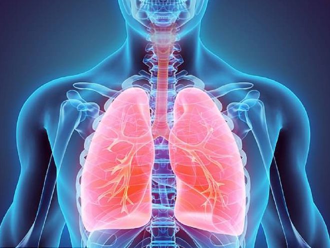 Tăng áp lực động mạch phổi và những điều bạn cần biết - Ảnh 1.