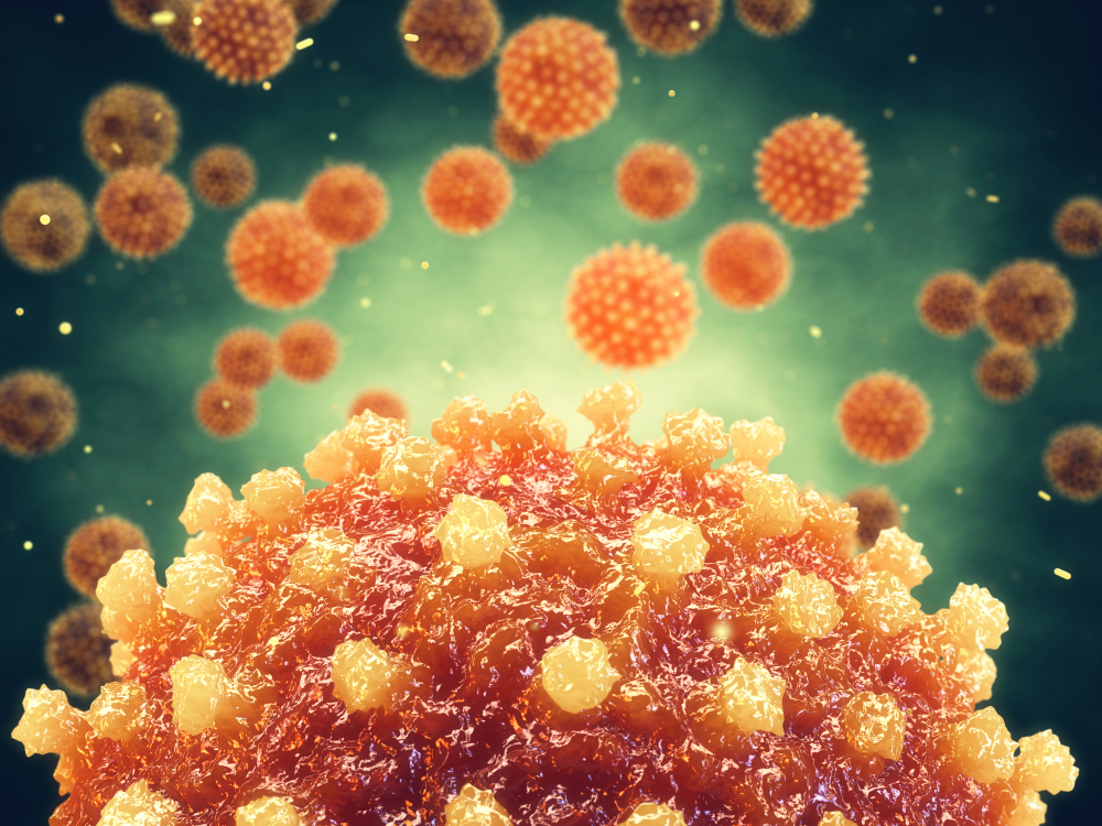 Những điều bạn cần biết về nguyên nhân gây bệnh Rubella - Ảnh 1. Những điều bạn cần biết về nguyên nhân gây bệnh Rubella - Ảnh 1.