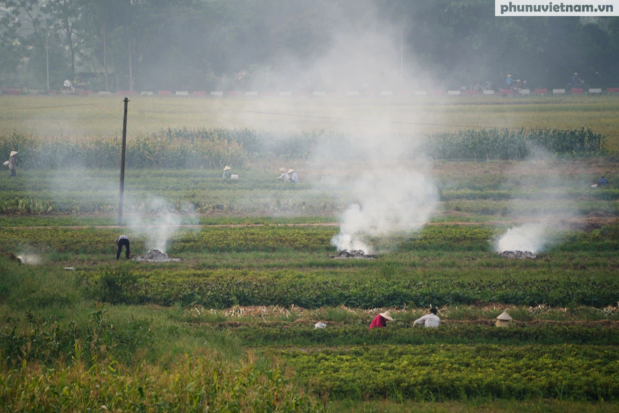 Nông dân ngoại thành Hà Nội đốt phế phẩm nông nghiệp, khói um khắp cánh đồng - Ảnh 1.