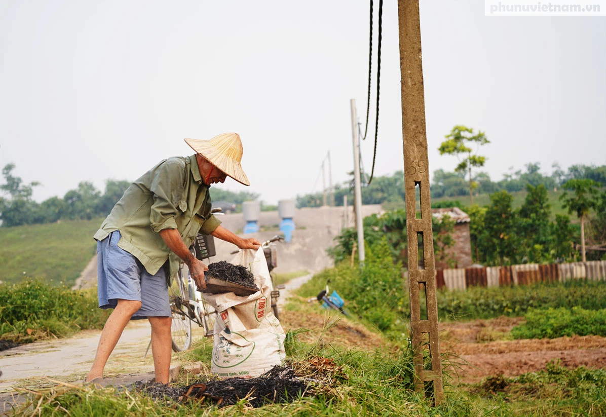 Nông dân ngoại thành Hà Nội đốt phế phẩm nông nghiệp, khói um khắp cánh đồng - Ảnh 3.