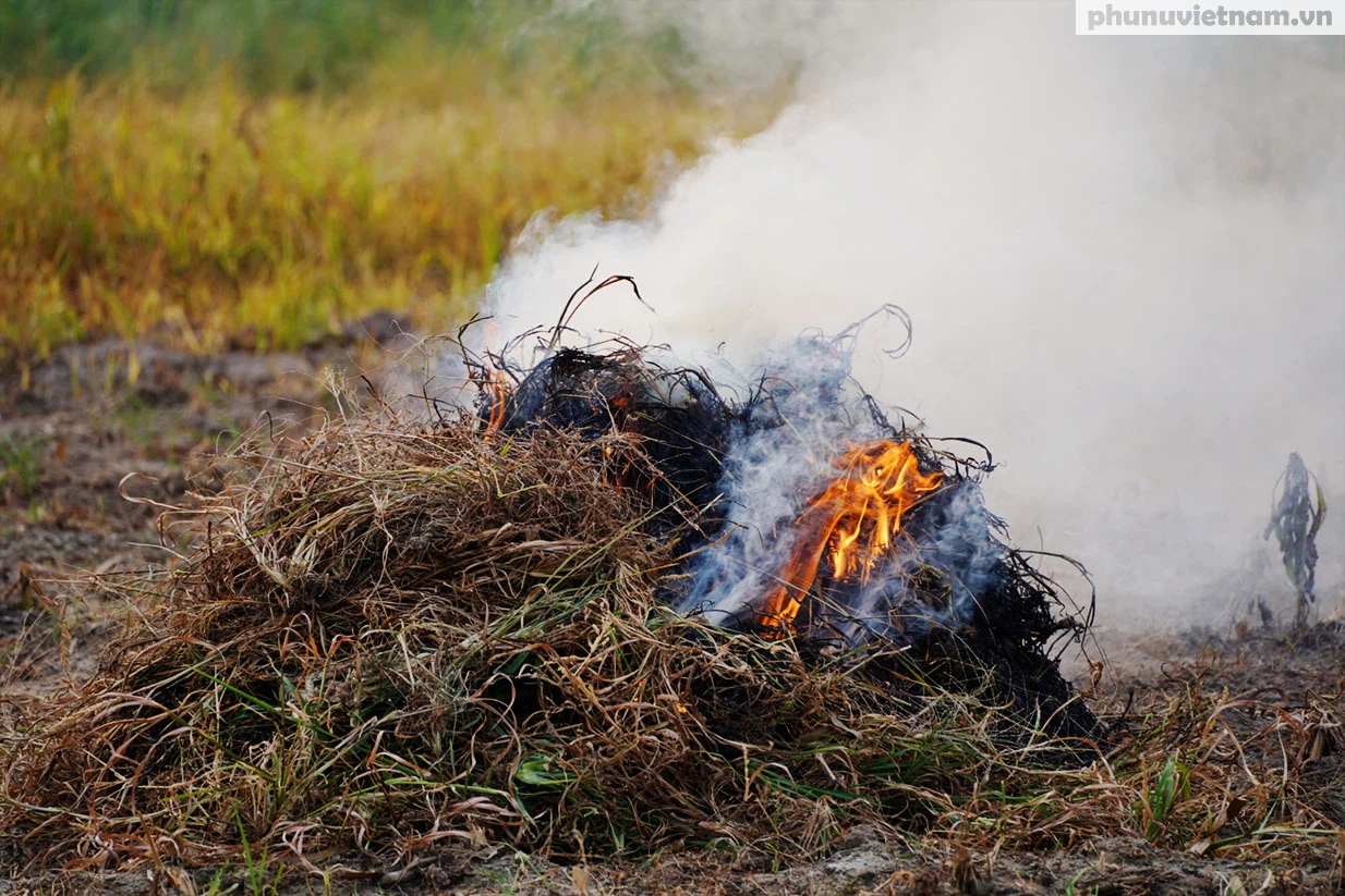 Nông dân ngoại thành Hà Nội đốt phế phẩm nông nghiệp, khói um khắp cánh đồng - Ảnh 5.