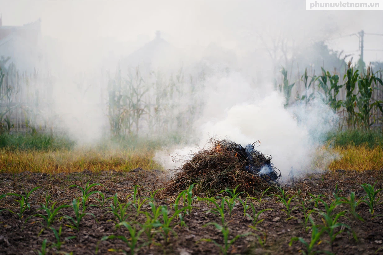 Nông dân ngoại thành Hà Nội đốt phế phẩm nông nghiệp, khói um khắp cánh đồng - Ảnh 6.