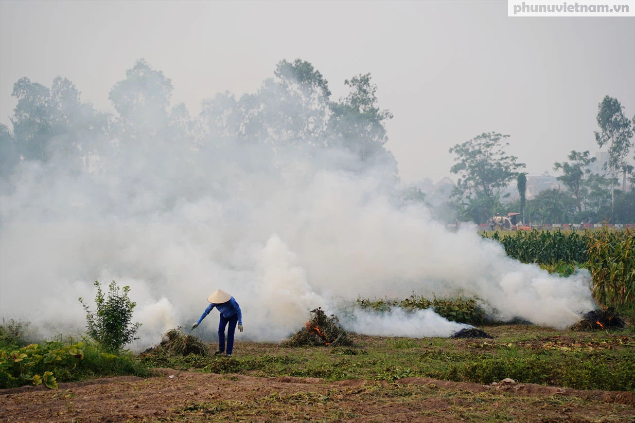 Nông dân ngoại thành Hà Nội đốt phế phẩm nông nghiệp, khói um khắp cánh đồng - Ảnh 7.