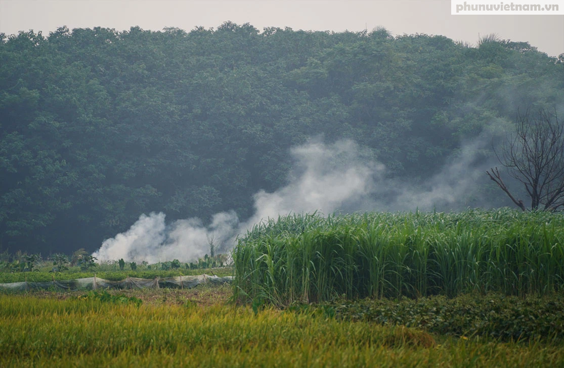 Nông dân ngoại thành Hà Nội đốt phế phẩm nông nghiệp, khói um khắp cánh đồng - Ảnh 9.