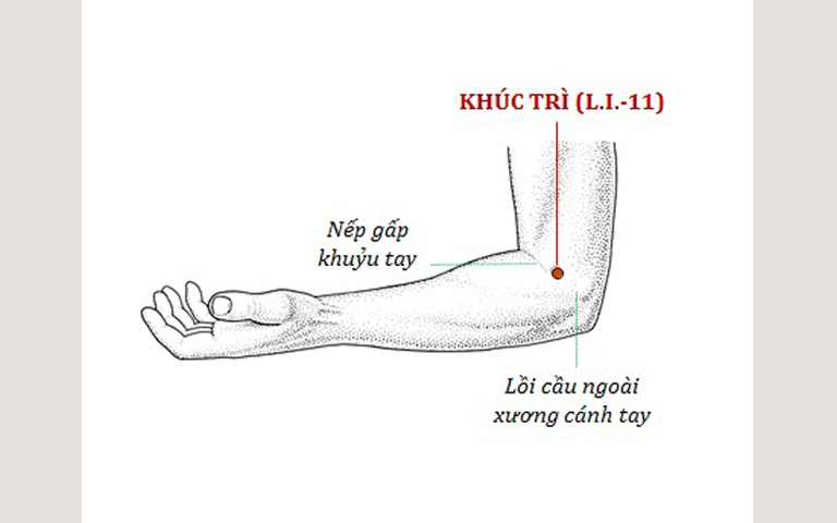 Vị trí huyệt Khúc Trì, công dụng và các phương pháp trị liệu thường gặp - Ảnh 1.