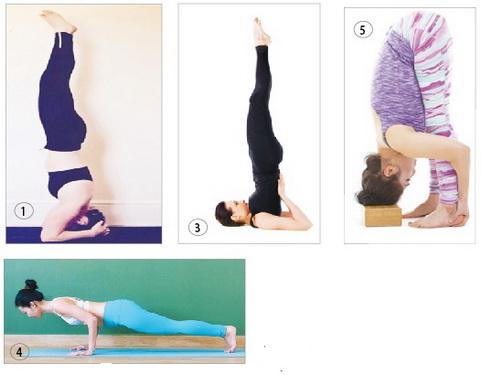 5 tư thế người mới tập yoga không nên thực hiện - Ảnh 2.