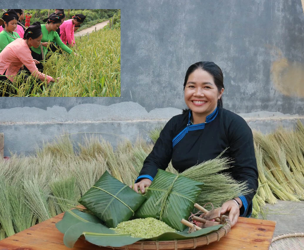 Nâng Tầm Cốm Và Khẩu Rang Bắc Hà, Tạo Thu Nhập Ổn Định Cho Đồng Bào Dân Tộc  Thiểu Số