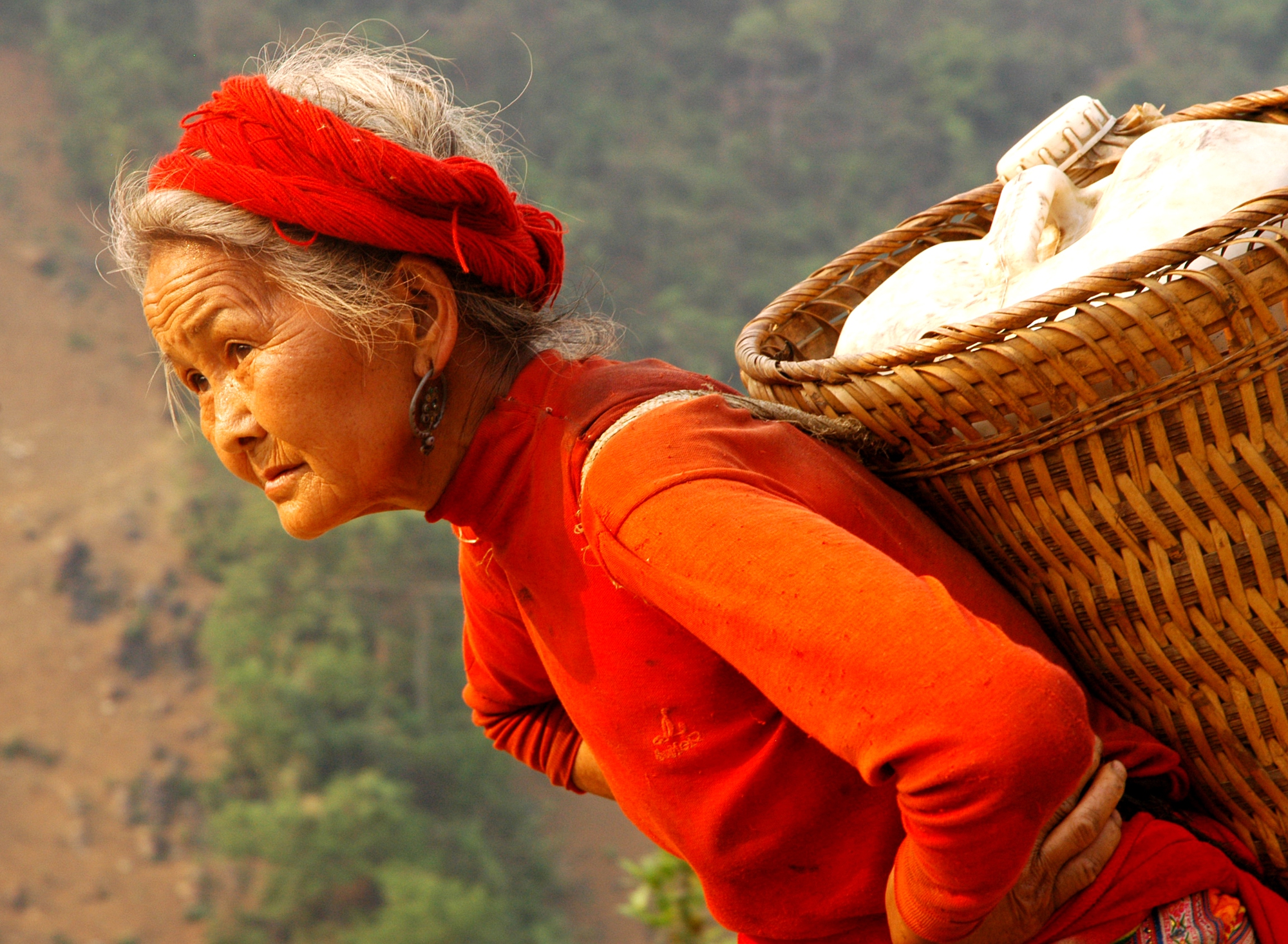 Nhọc nhằn đời Lù cở - Ảnh 2.