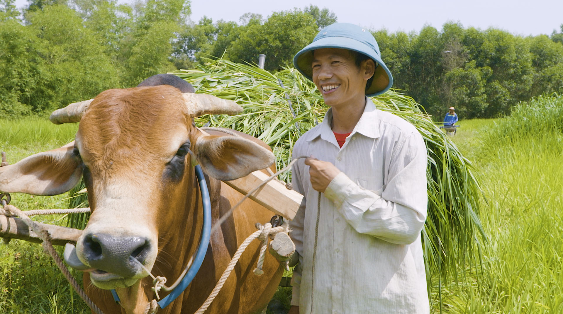 Hỗ trợ các mô hình sinh kế Giải pháp giảm nghèo hiệu quả  Báo Dân tộc và  Phát triển