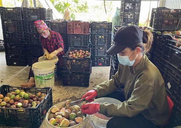 Phụ nữ tham gia hợp tác xã, tăng hiệu quả sản xuất, thúc đẩy thương mại miền núi - Ảnh 2.