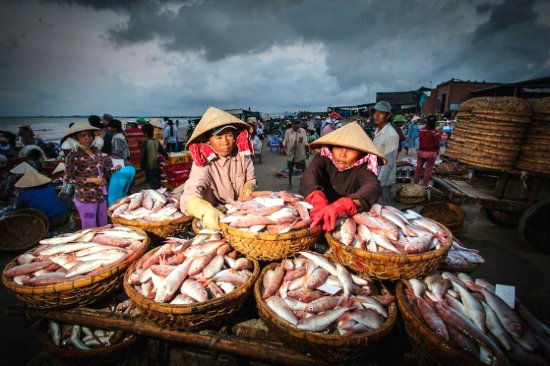 Xây dựng mô hình phân phối đặc thù cho sản xuất, tiêu dùng vùng hải đảo - Ảnh 3.