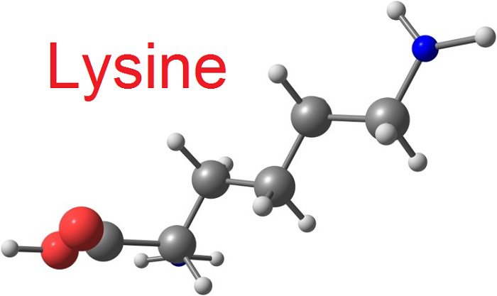 Lysine là gì? Bổ sung Lysine cho trẻ đúng cách - Ảnh 1.
