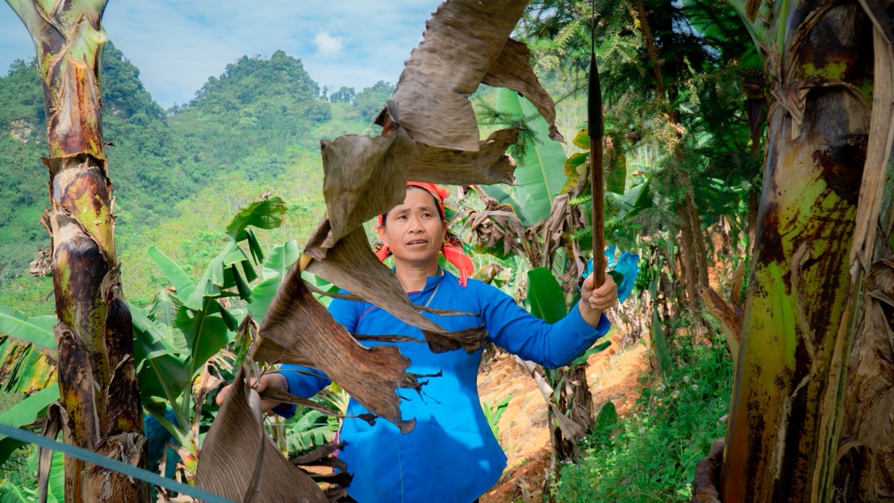 Lào Cai: Những phụ nữ dân tộc thiểu số không cam chịu số phận, vươn lên thoát nghèo - Ảnh 2.