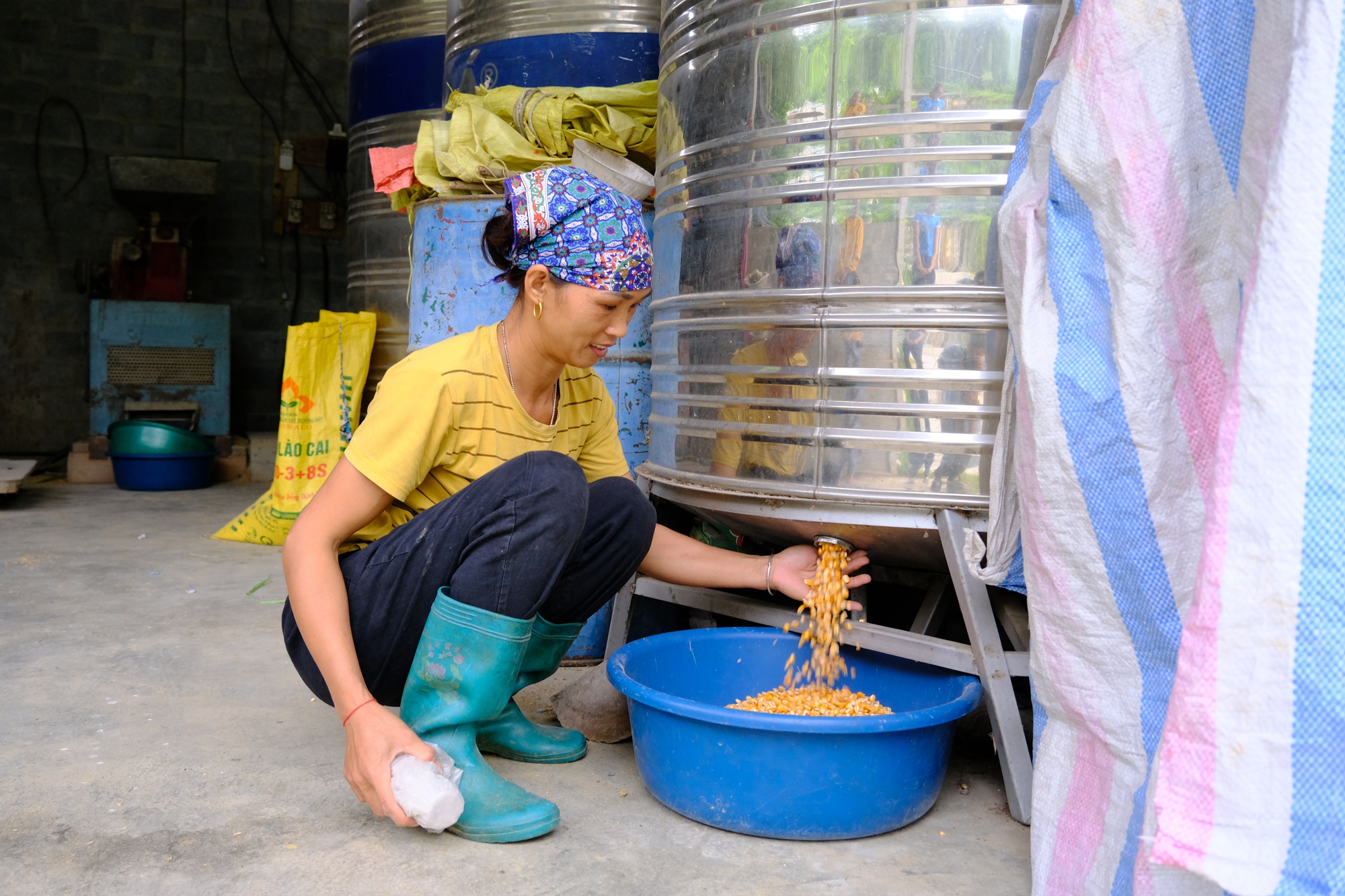 Lào Cai: Những phụ nữ dân tộc thiểu số không cam chịu số phận, vươn lên thoát nghèo - Ảnh 5.