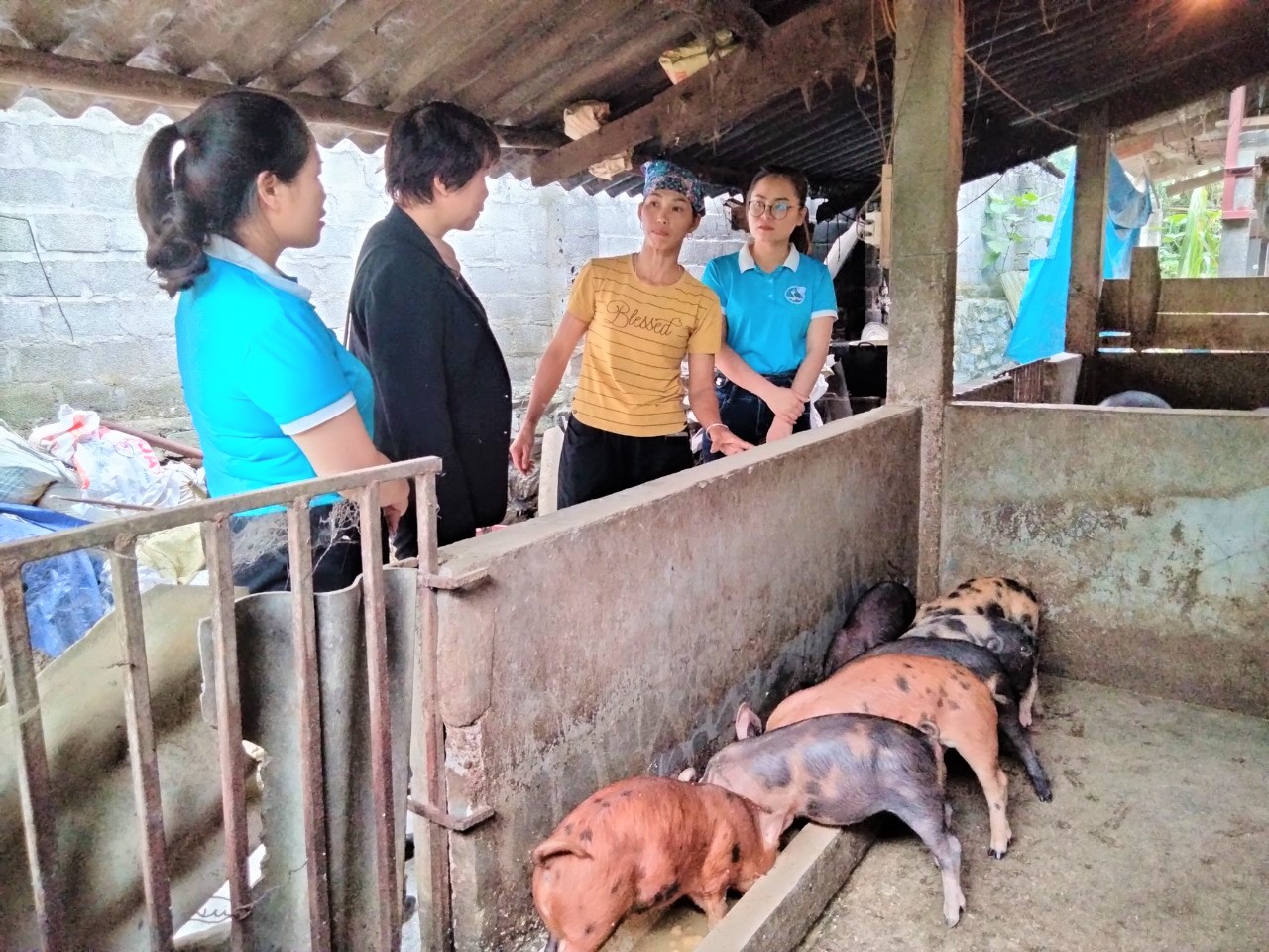 Lào Cai: Những phụ nữ dân tộc thiểu số không cam chịu số phận, vươn lên thoát nghèo - Ảnh 7.