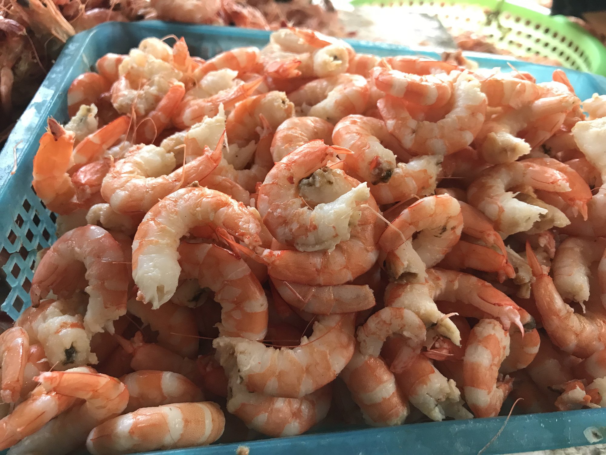 Nghề bóc vỏ tôm, cứ tay nhanh là tiền nhiều