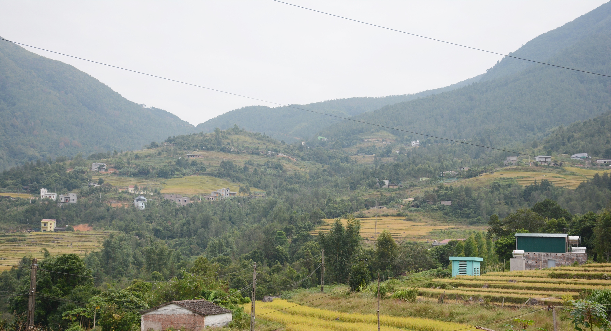 “Cưỡi” lưng khủng long ngắm mùa vàng Bình Liêu - Ảnh 6.