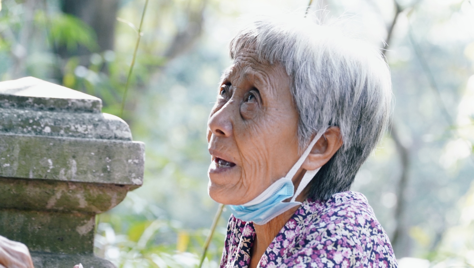 &quot;Bà nội 70 tuổi&quot; của đám thú hoang ở Thảo Cầm Viên: Vô số lần &quot;chạm trán&quot; phải quỳ gối trước những kẻ đánh bả mèo  - Ảnh 6.