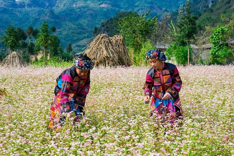 Phát triển du lịch cộng đồng ở vùng cao, hướng mới giúp người dân thoát nghèo, bảo tồn văn hóa - Ảnh 11.