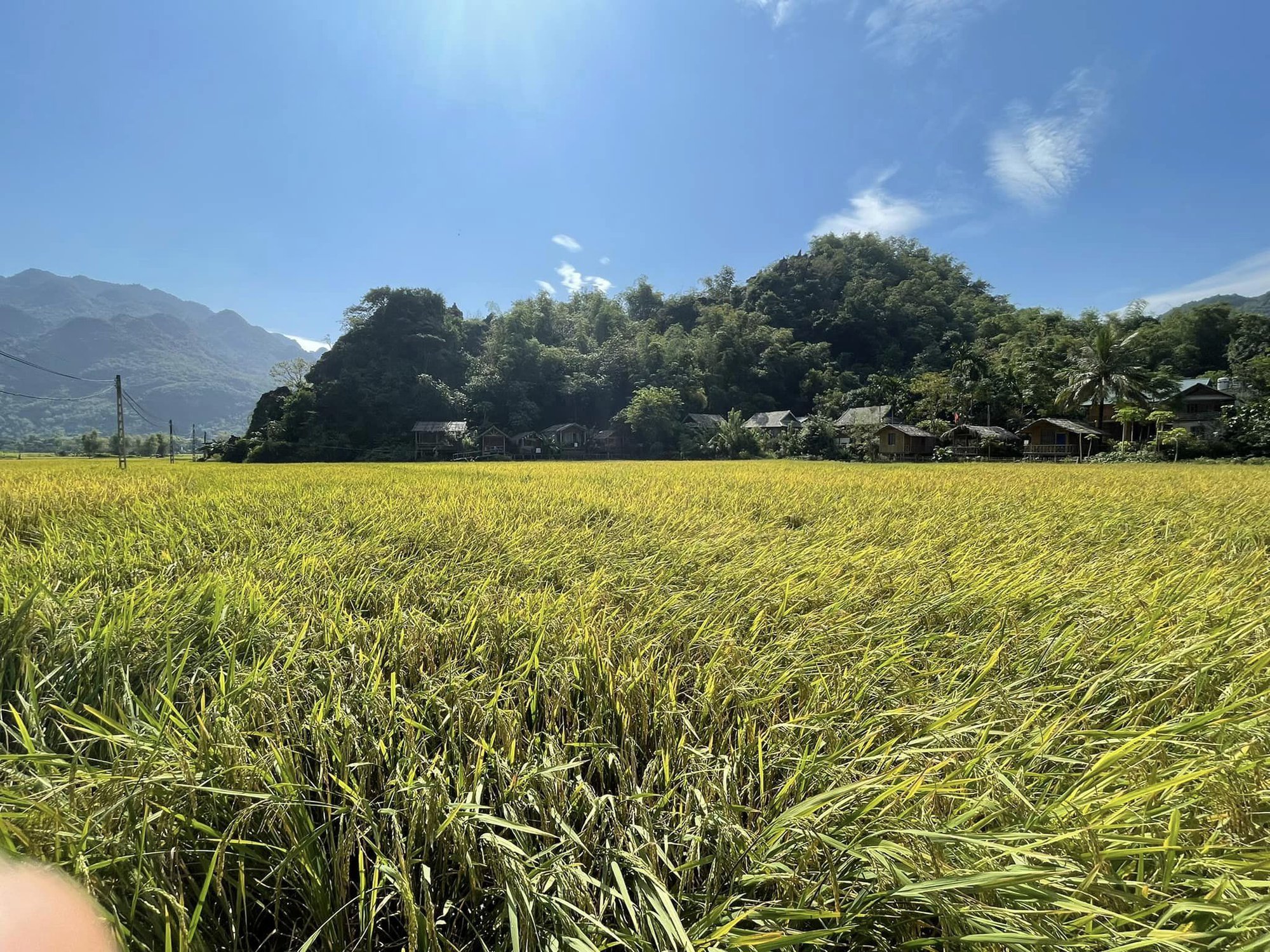 Cô gái trẻ dân tộc Thái làm homestay, quảng bá văn hóa địa phương - Ảnh 4.