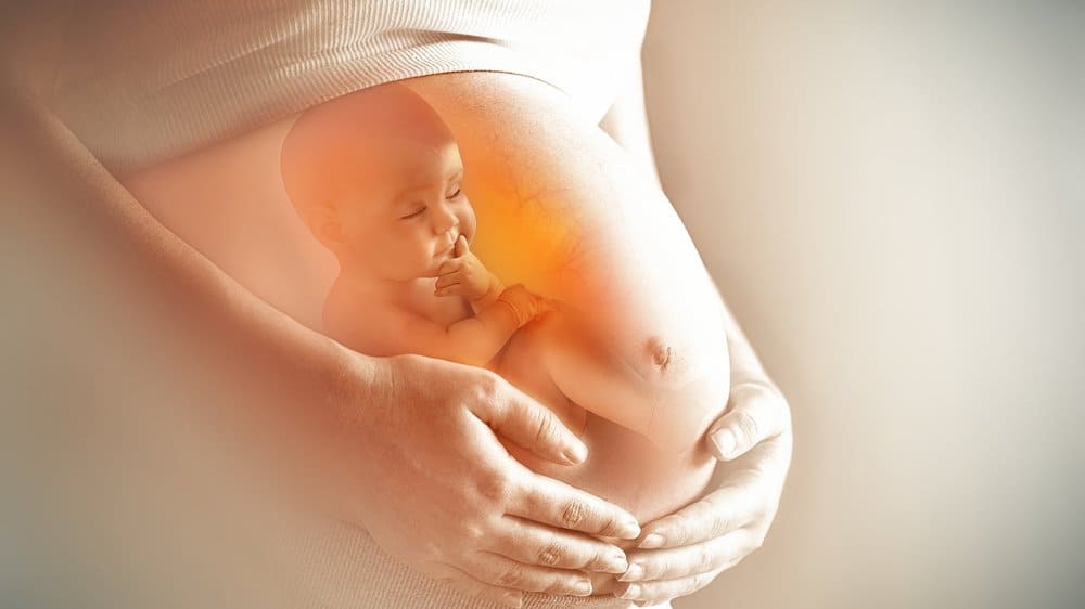 Quá trình mang thai ảnh hưởng tới sự phát triển trí não của thai nhi