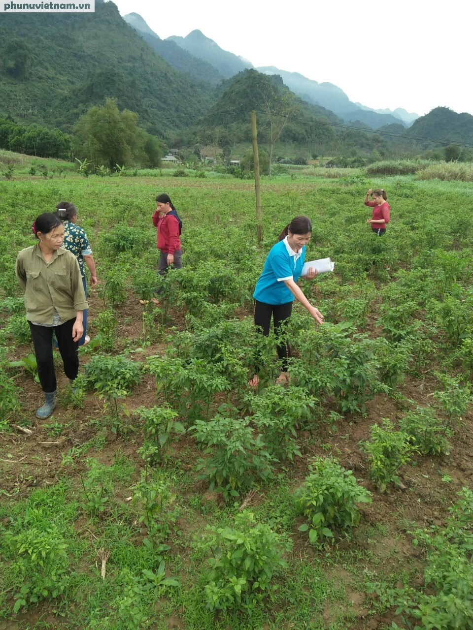 Những mô hình kinh tế tạo động lực cho phụ nữ chiến thắng đói nghèo, chiến thắng chính bản thân mình - Ảnh 7.