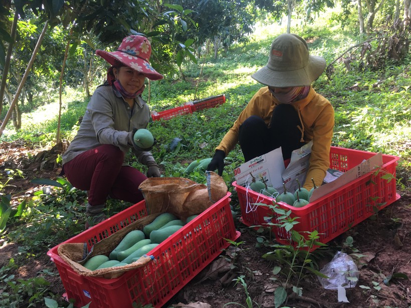 Cán bộ, hội viên phụ nữ vùng cao cùng làm giàu, xây dựng quê hương đổi mới - Ảnh 12.