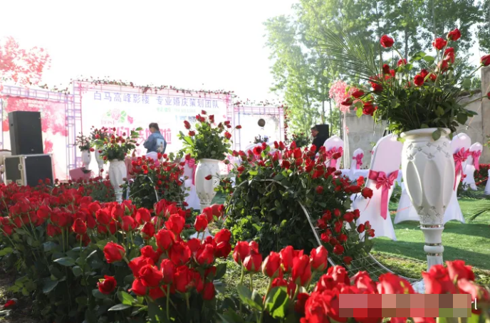 Thuê cả máy ủi dọn sạch khu vườn, chú rể tổ chức đám cưới nông thôn với 9999 bông hồng đỏ - Ảnh 5.