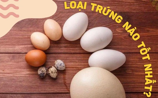 Trứng gà, trứng vịt, trứng ngỗng, trứng cút... loại nào bổ dưỡng nhất?