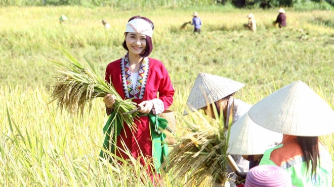 Cô gái trẻ dân tộc Thổ bỏ phố về quê làm giàu từ rừng, được trao Giải thưởng Lương Định Của - Ảnh 7.