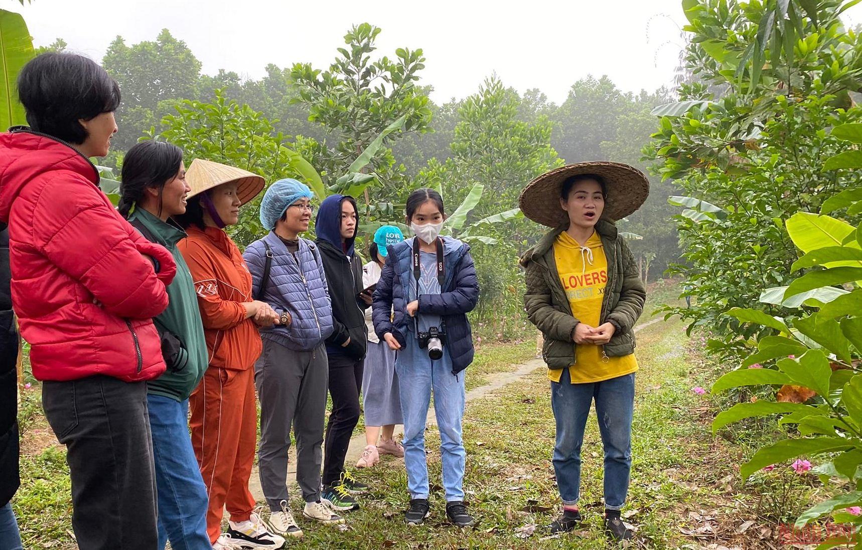 Cô gái trẻ dân tộc Thổ bỏ phố về quê làm giàu từ rừng, được trao Giải thưởng Lương Định Của - Ảnh 9.