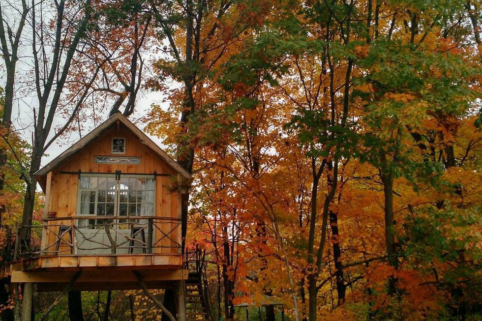 Những ngôi nhà trên cây tuyệt đẹp khiến bạn mộng mơ đến một cuộc sống chan hòa bên thiên nhiên - Ảnh 2.