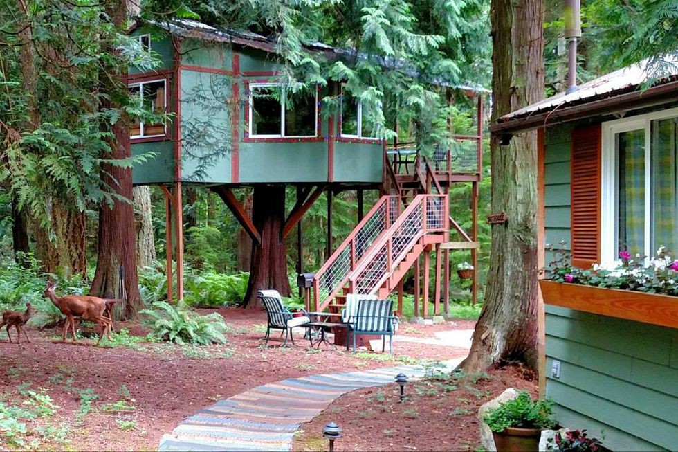 Những ngôi nhà trên cây tuyệt đẹp khiến bạn mộng mơ đến một cuộc sống chan hòa bên thiên nhiên - Ảnh 9.