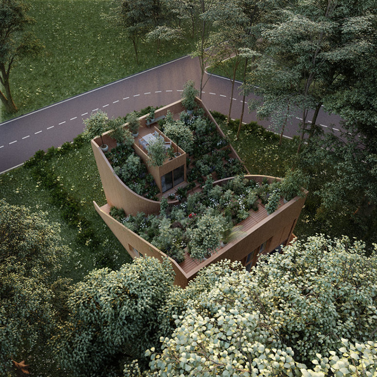 Cặp vợ chồng già sở hữu một vườn rau lớn trên mái nhà khiến khách nào đến chơi cũng trầm trồ - Ảnh 3.