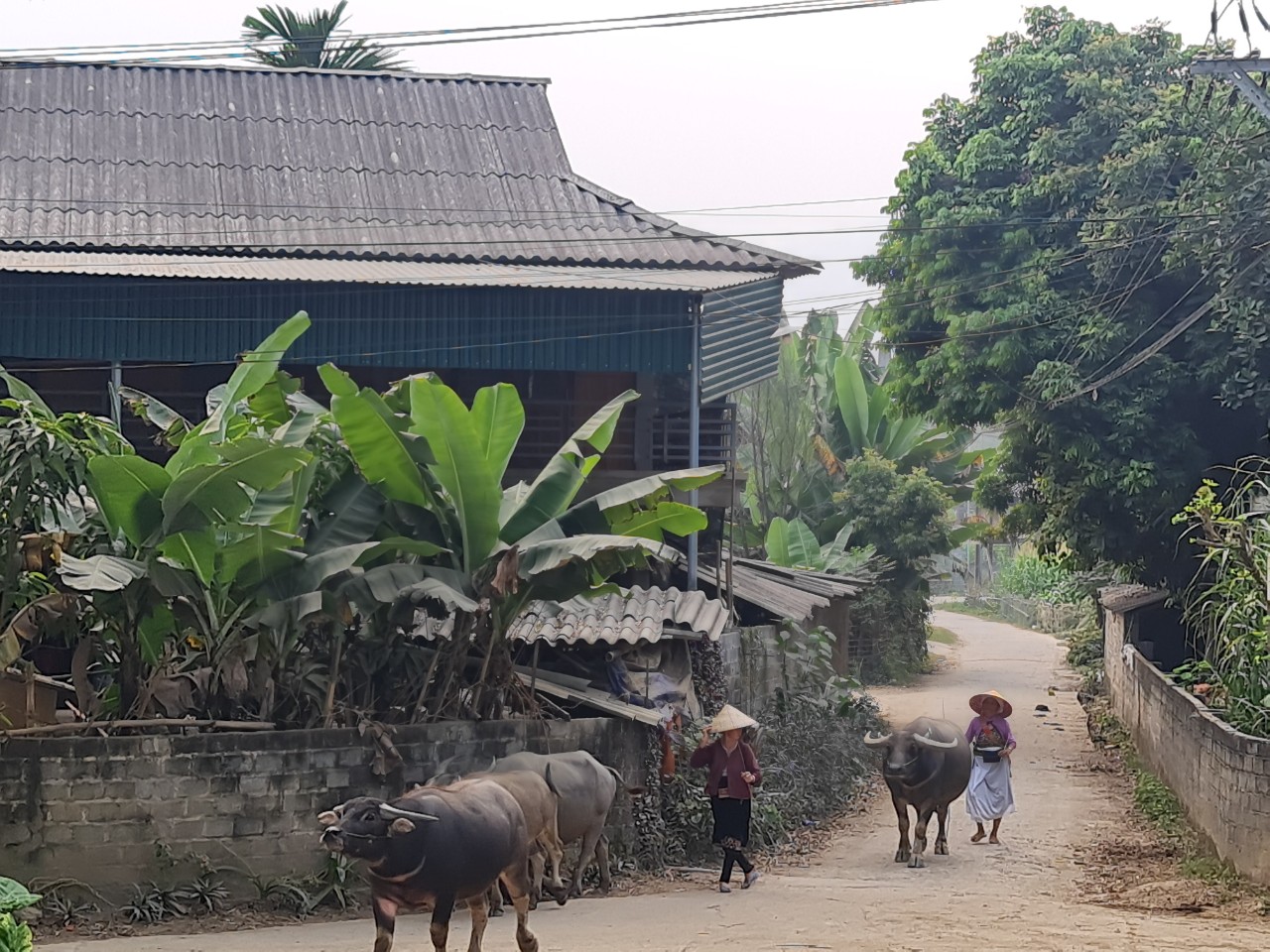 Phụ nữ dân tộc thiểu số tự tin làm du lịch cộng đồng - Ảnh 4. Phụ nữ dân tộc thiểu số tự tin làm du lịch cộng đồng - Ảnh 4.