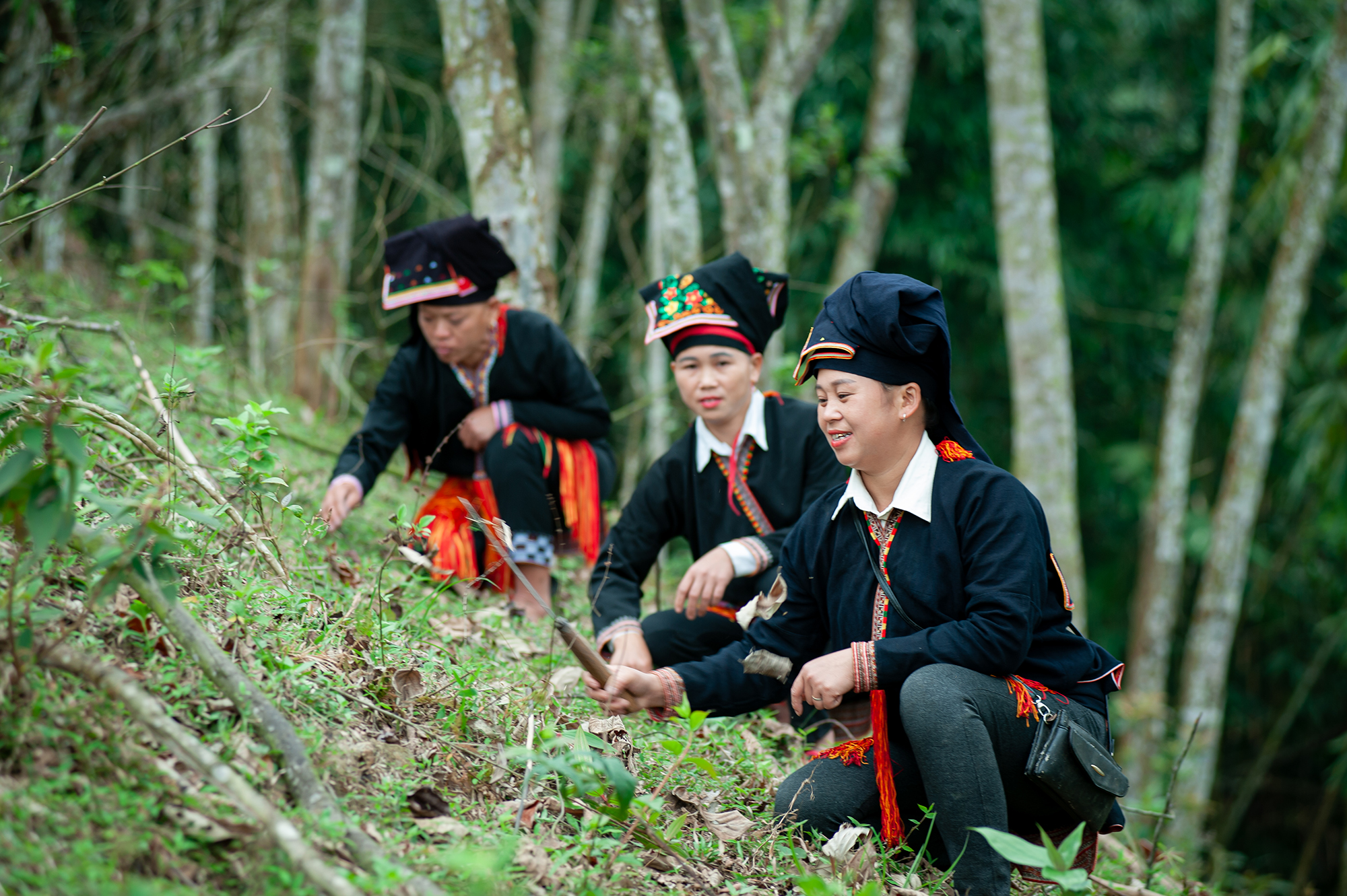 Tài nguyên núi rừng giúp đổi thay thân phận những người phụ nữ của bản làng - Ảnh 4.