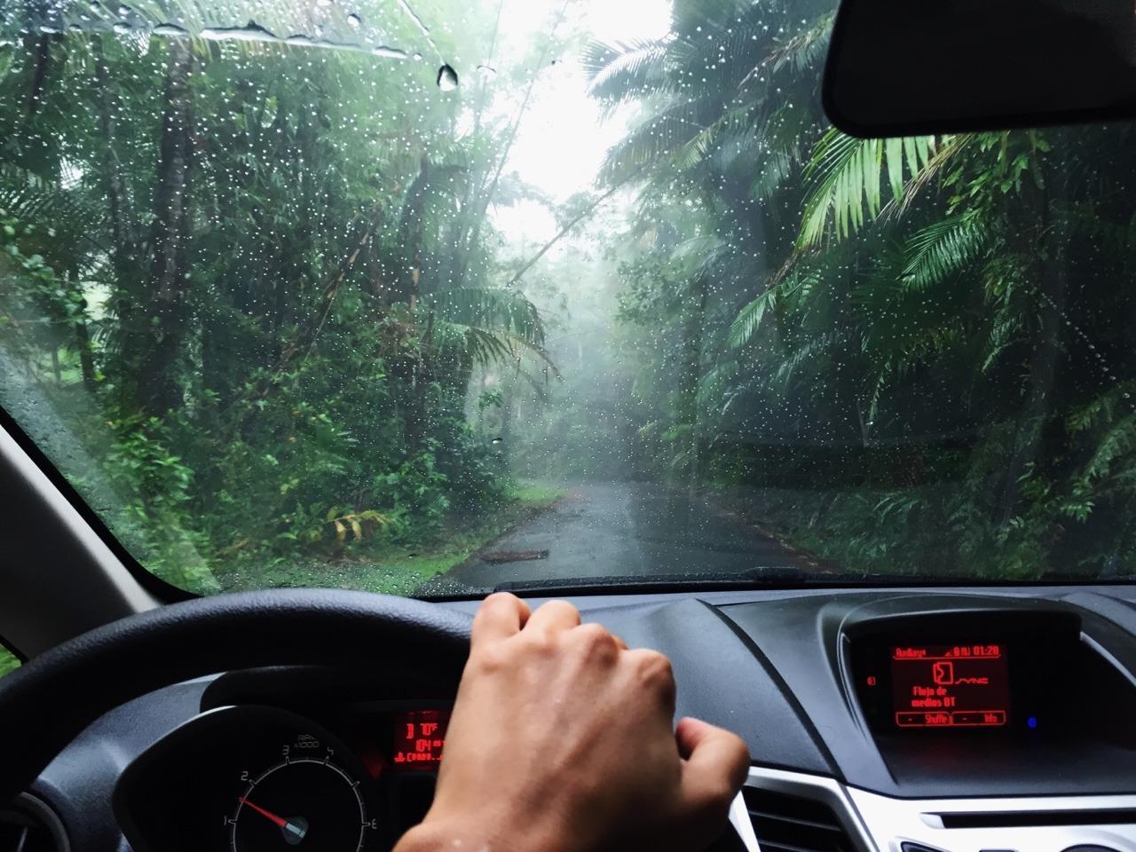 5 nguyên tắc giúp các chị em lái xe an toàn dưới trời mưa lớn - Ảnh 3.