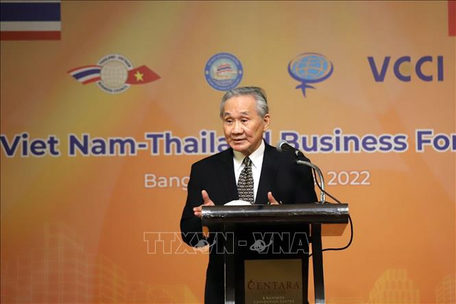 Tăng cường kết nối doanh nghiệp Việt Nam - Thái Lan vì phát triển bền vững - Ảnh 1.
