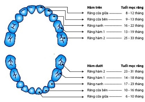 Những dấu hiệu cho thấy trẻ chuẩn bị thay răng