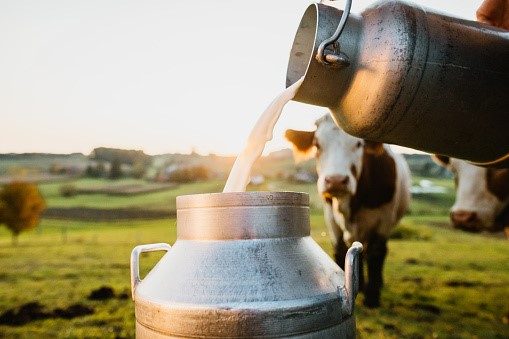 Ngành sữa Australia - cung cấp thực phẩm an toàn vì một thế giới khỏe mạnh - Ảnh 2.