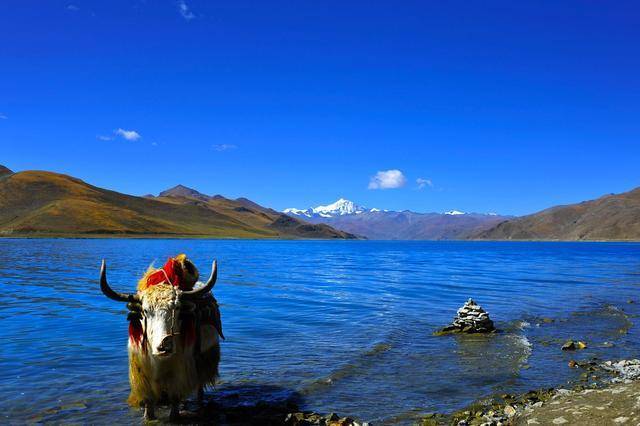 Yamdrok - hồ nổi tiếng nhất Tây Tạng có trữ lượng cá gần 1 triệu tấn nhưng không một ai dám ăn, lý do khiến nhiều người bất ngờ - Ảnh 2.