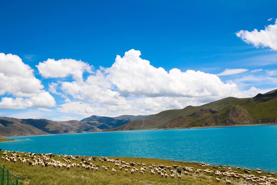 Yamdrok - hồ nổi tiếng nhất Tây Tạng có trữ lượng cá cả triệu tấn nhưng không ai dám ăn - Ảnh 4.