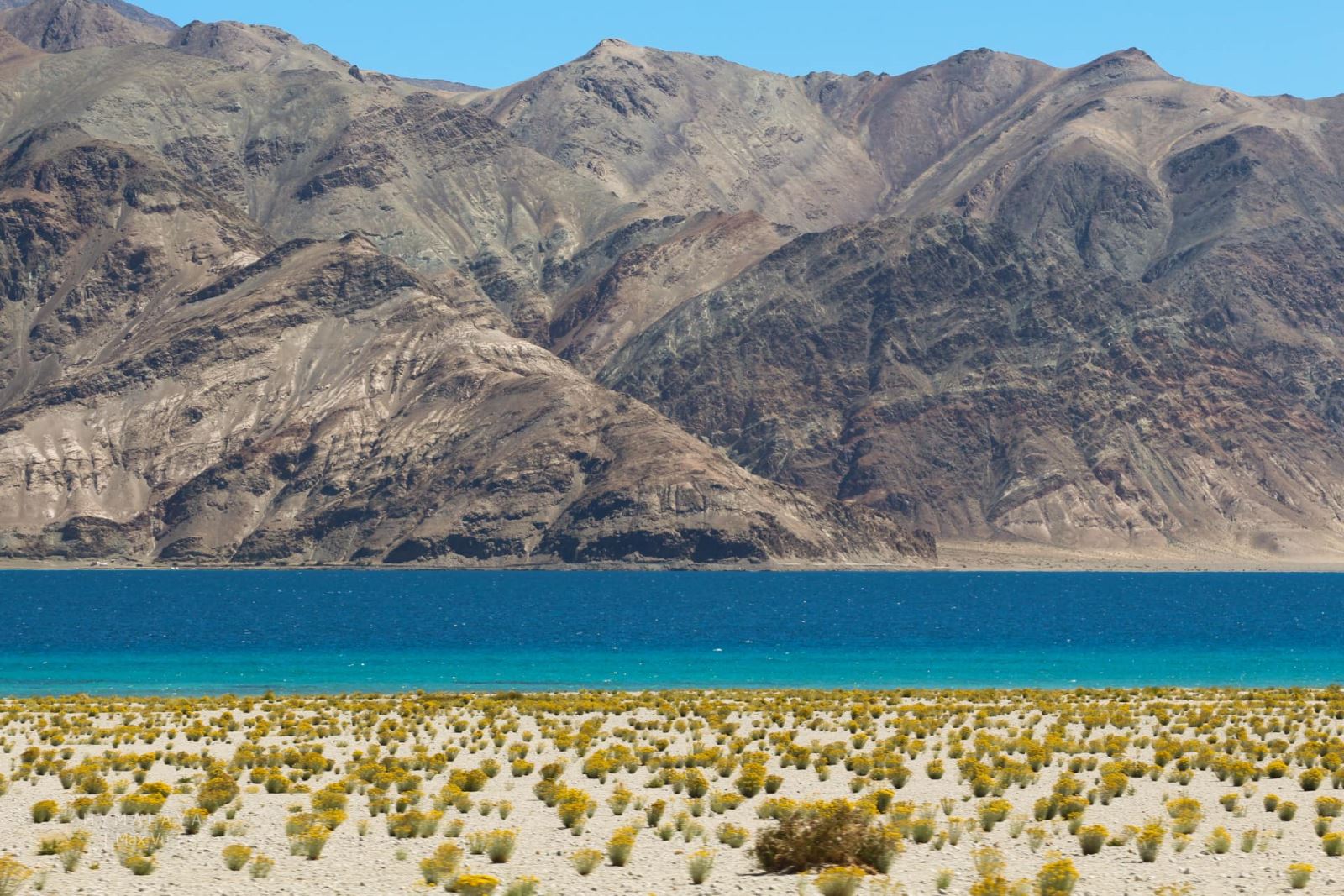 Yamdrok - hồ nổi tiếng nhất Tây Tạng có trữ lượng cá cả triệu tấn nhưng không ai dám ăn - Ảnh 15.