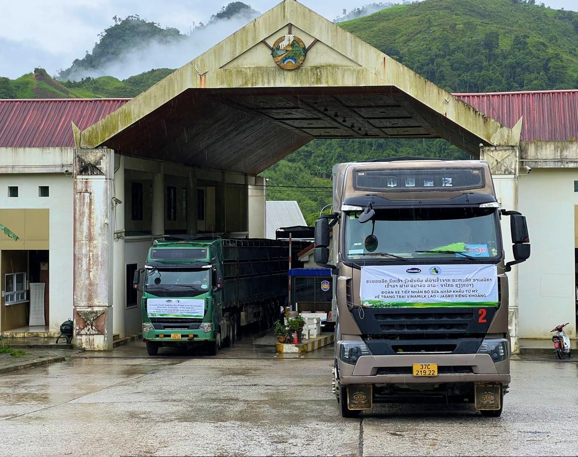 Trang trại Vinamilk Lao-Jagro tiếp nhận đàn bò sữa 1.000 con đầu tiên nhập khẩu từ Mỹ - Ảnh 2.