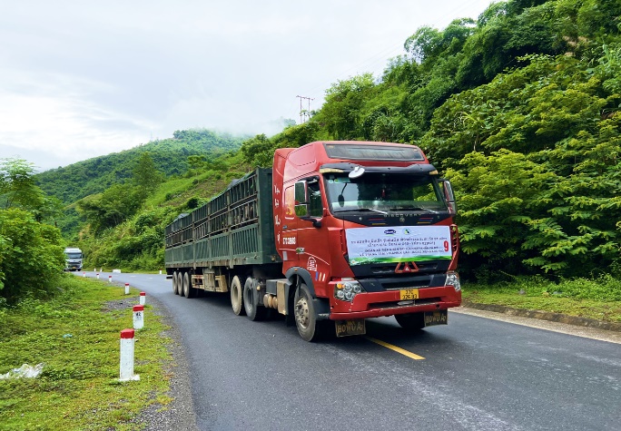 Trang trại Vinamilk Lao-Jagro tiếp nhận đàn bò sữa 1.000 con đầu tiên nhập khẩu từ Mỹ - Ảnh 3.