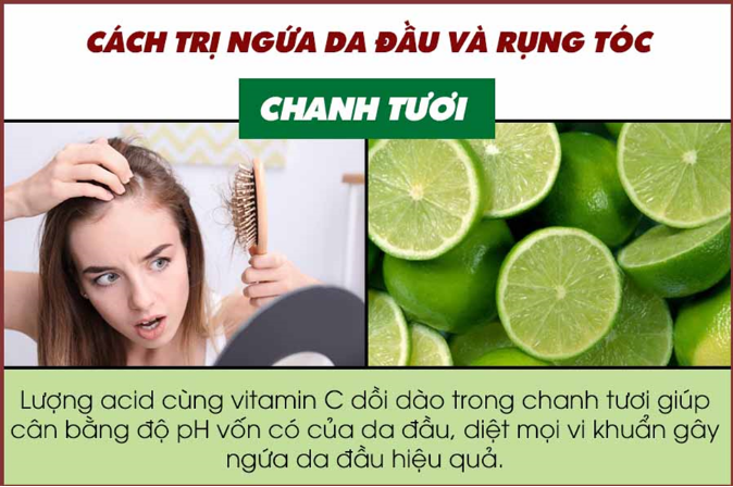 Cách trị ngứa da đầu và rụng tóc  - Ảnh 4.